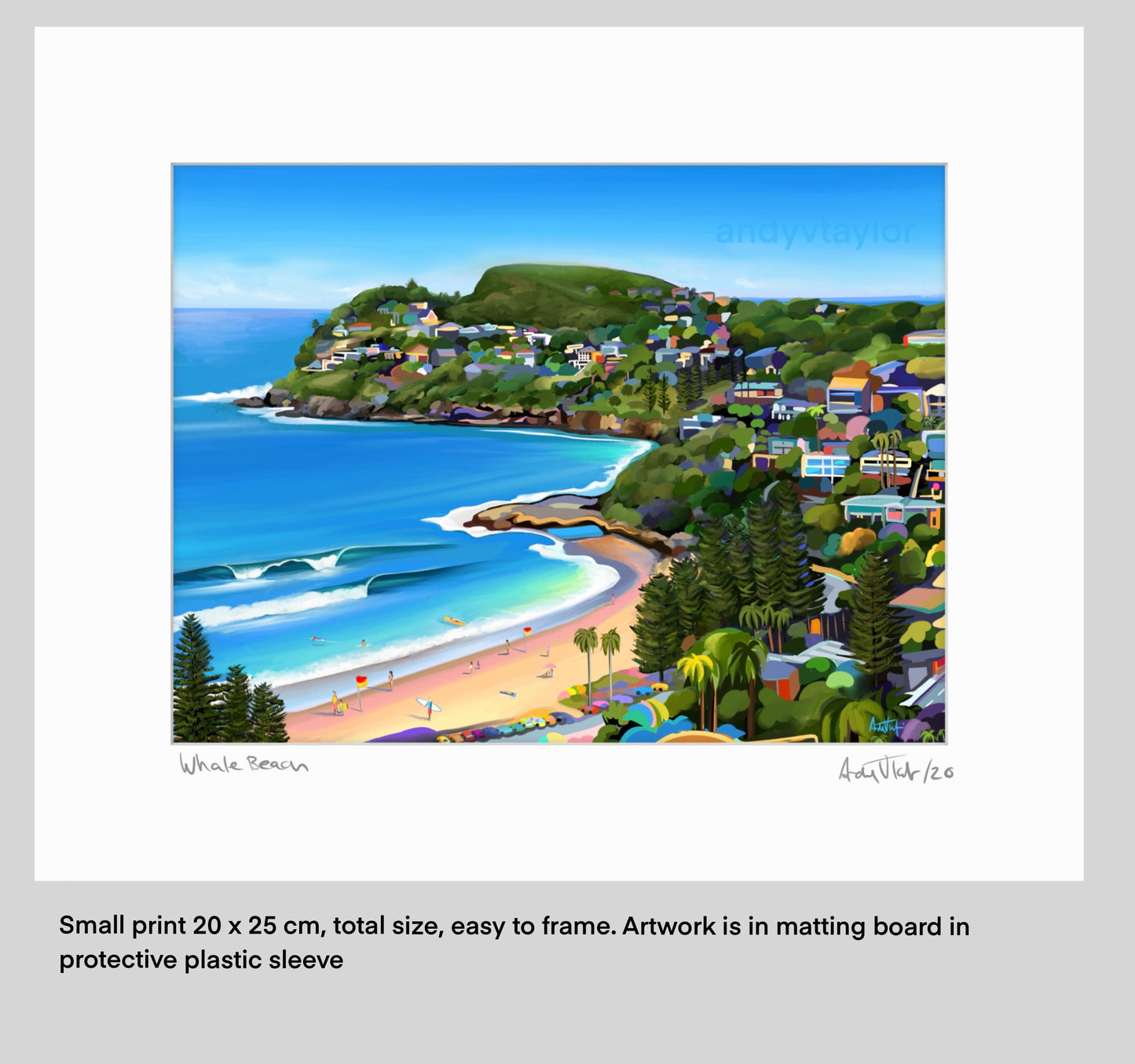 Whale Beach View - Limited Edition